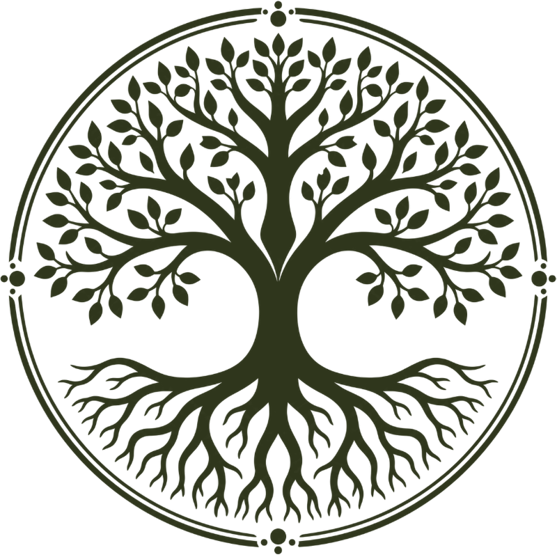 Tree of life line illustration with spreading roots and branches inside a circle — symbol of the Trauma Recovery Group's focus on growth, healing, and resilience for adults in Massachusetts.